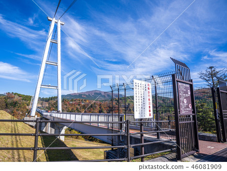 Japan Kyushu Suspension bridge Kuju Yumedai Suspension bridge Suspension bridge Suspension bridge suspension bridge 46081909