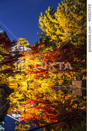 Autumn leaves in Tokugawaen, Nagoya, Aichi Prefecture Autumn leaves in Tokugawaen, Nagoya, Aichi Prefecture 46082058