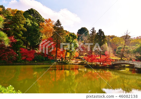 Yakushi pond in the autumn scenery 46082138