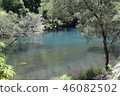 Australian wilderness 46082502