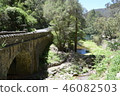 Australian wilderness 46082503