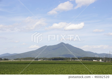 Edamame領域和從筑波市看見的Mt. Tsukuba在早期的秋天 46082520