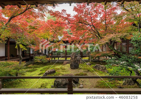 Kennin-ji Temple秋葉 46083258