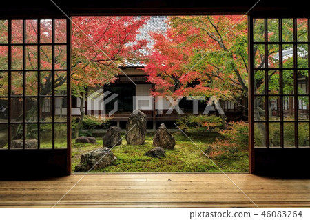 Kennin-ji Temple秋葉 46083264