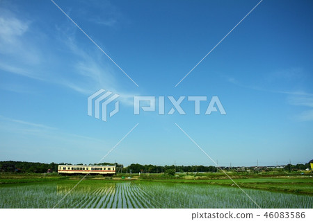 Summer on the Ryugasaki Line 46083586