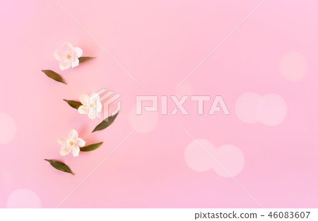 Spring flowers on pink background. Spring flowers on pink background. 46083607