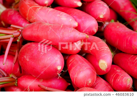 Fresh red radish Fresh red radish 46083610