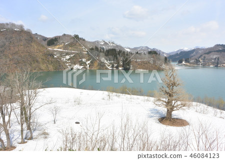 "White Forest Oguni Lake" in the early spring "White Forest Oguni Lake" in the early spring 46084123