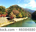 在Eigenji寺所在的山的秋葉 46084880