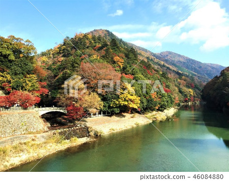 在Eigenji寺所在的山的秋葉 46084880