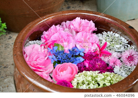 Ninomiya family (Niigata Prefecture) 46084896