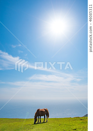 Oki Island Nishinoshima Town 46085311