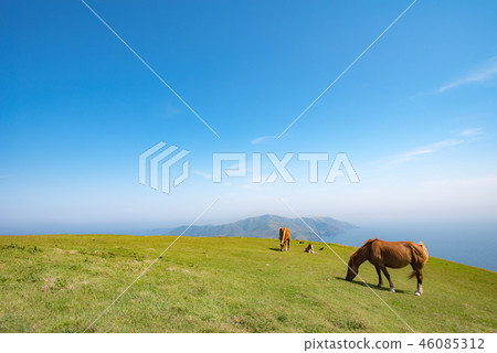Oki Island Nishinoshima Town Oki Island Nishinoshima Town 46085312