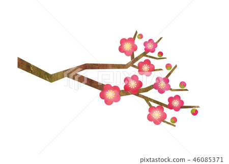 梅花梅分支 46085371