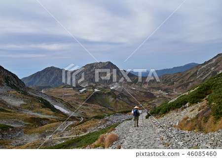 A great view of Tateyama Murododaira that greets autumn A great view of Tateyama Murododaira that greets autumn 46085460