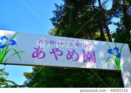 五十個公園（新潟縣） 46085536