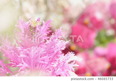 Pink leaf button 46085733