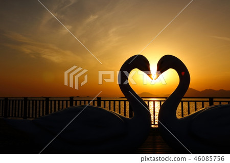 The love of Konny 46085756