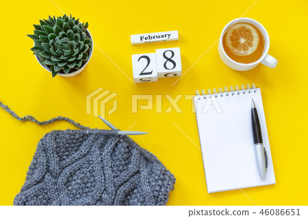 Wooden cubes calendar February 28th. Cup of tea with lemon, empty open notepad for text. Pot with Wooden cubes calendar February 28th. Cup of tea with lemon, empty open notepad for text. Pot with 46086651