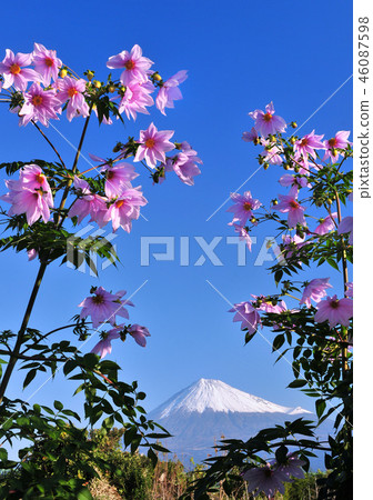 皇帝達利亞和富士山222143 皇帝達利亞和富士山222143 46087598
