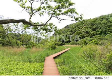 Small retail 46087842