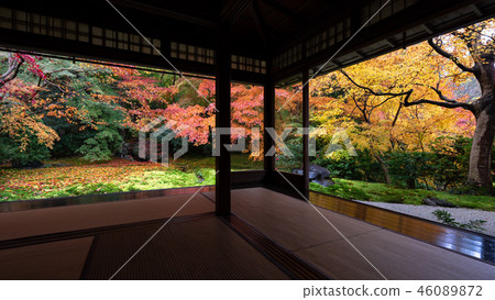 Autumn leaves in Kyoto Autumn leaves in Kyoto 46089872