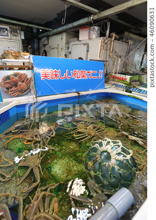 Sakaiminato, seafood direct sale center Sakaiminato, seafood direct sale center 46090631