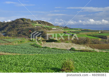 神奈川縣岩山最低峰[初冬]三浦市最高峰 46090861