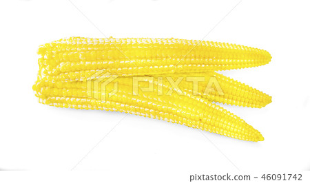 baby corn on a white background baby corn on a white background 46091742