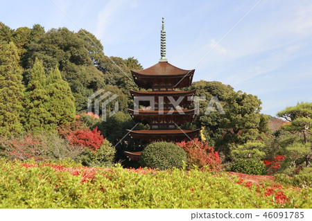 Fall of Yamaguchi Shoko-ji 46091785
