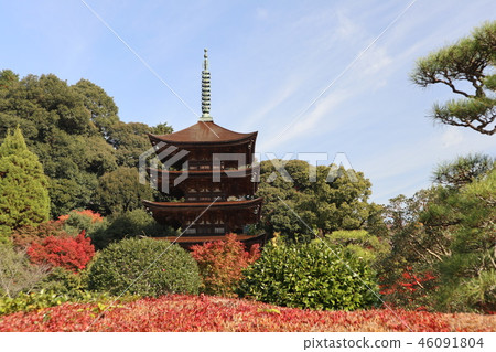 Fall of Yamaguchi Shoko-ji 46091804