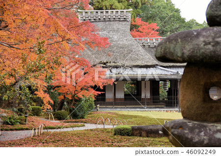 YOSHIKI花園 46092249