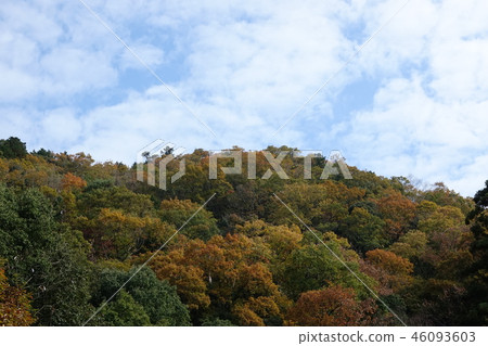 秋葉/黃葉（Takihata壩） 46093603