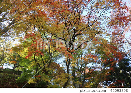 Dotsu寺廟在秋天豬苗代 46093898