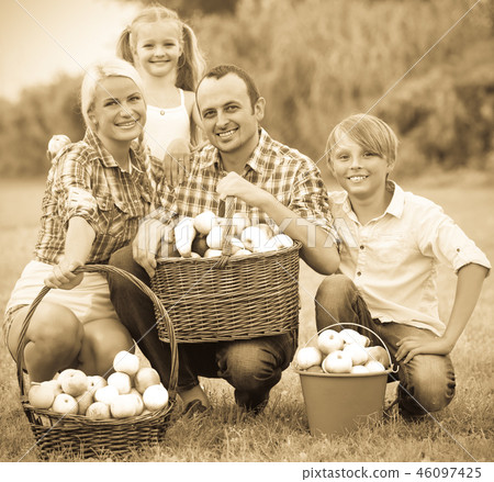 Family harvesting apples in garden 46097425