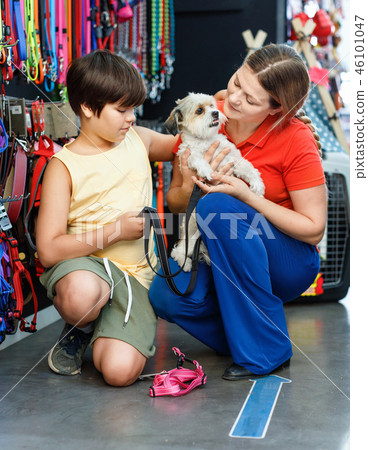 Happy teen boy with mother visiting pet shop in search of accessories for their dog Happy teen boy with mother visiting pet shop in search of accessories for their dog 46101047