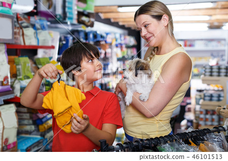 Family choosing dogs clothes in shop Family choosing dogs clothes in shop 46101513