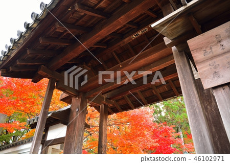 Kyoto's temples 46102971