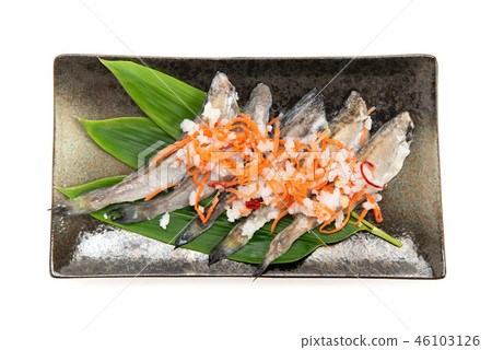 Hatsugatoboshi 46103126