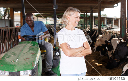 Woman farmer on dairy farm 46104680