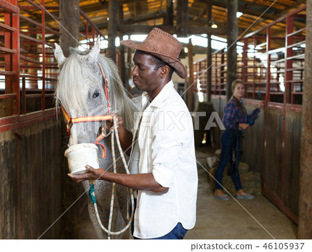 Positive couple feeding horses in stable Positive couple feeding horses in stable 46105937