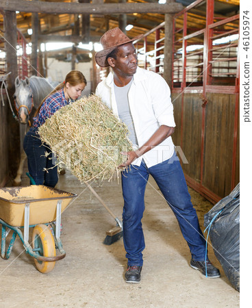Couple of farmers working at stable Couple of farmers working at stable 46105974