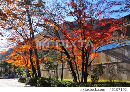 沿著岡田藝術館的秋葉沿箱根大屋谷國道 46107192