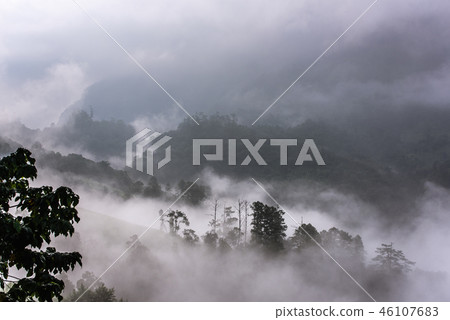 Autumnal forest in the Doi Luang Chiang Dao Nation 46107683