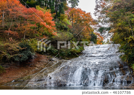 Yoro Valley 3 46107786