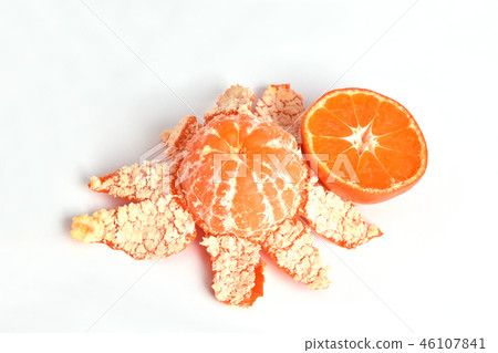 Mandarin orange (Koyasu Ohara) Mandarin orange (Koyasu Ohara) 46107841