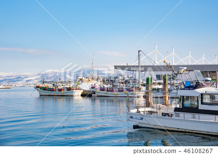 [函館魷魚漁船] 46108267