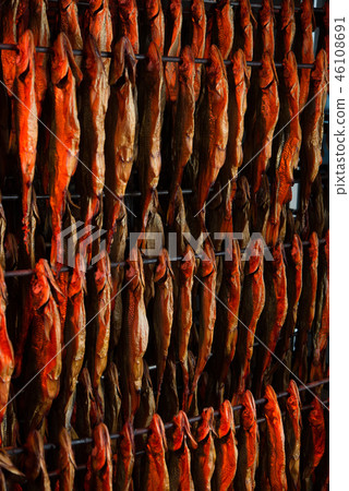 fish factory process fish factory process 46108691
