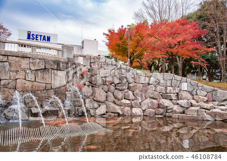 [相模野公園秋葉] 46108784