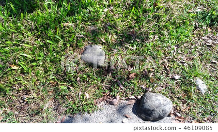 草皮石塊 46109085
